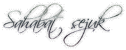 Ss3